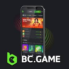 Discover Exciting Gaming Opportunities at BC.Game India