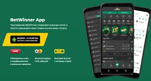 Maximize Your Winnings with BetWinner Bonuses
