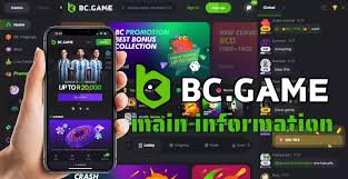 Understanding BC.Game Mirror Your Guide to Secure and Anonymous Gambling